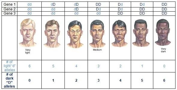 Процент рождения глаз