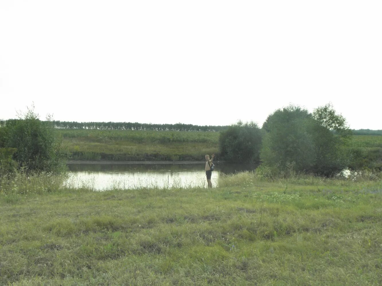 Погода деревня владимировка. Деревня владимировка любинский район. село владимировка новосибирская область. поселок владимировка саратовская область. деревня владимировка череповецкий район.
