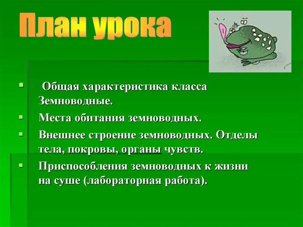 Класс земноводные покровы. Органы чувств земноводных 7 класс. Покровы тела земноводных на суше. Класс земноводные покровы тела. Характеристика класса земноводных.