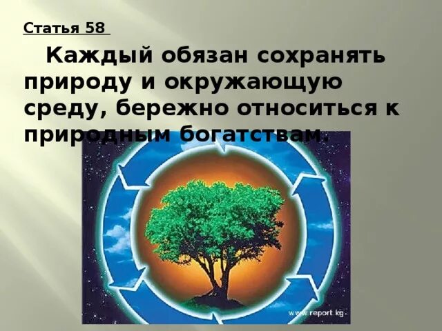 Почему надо бережно относиться к окружающей среде