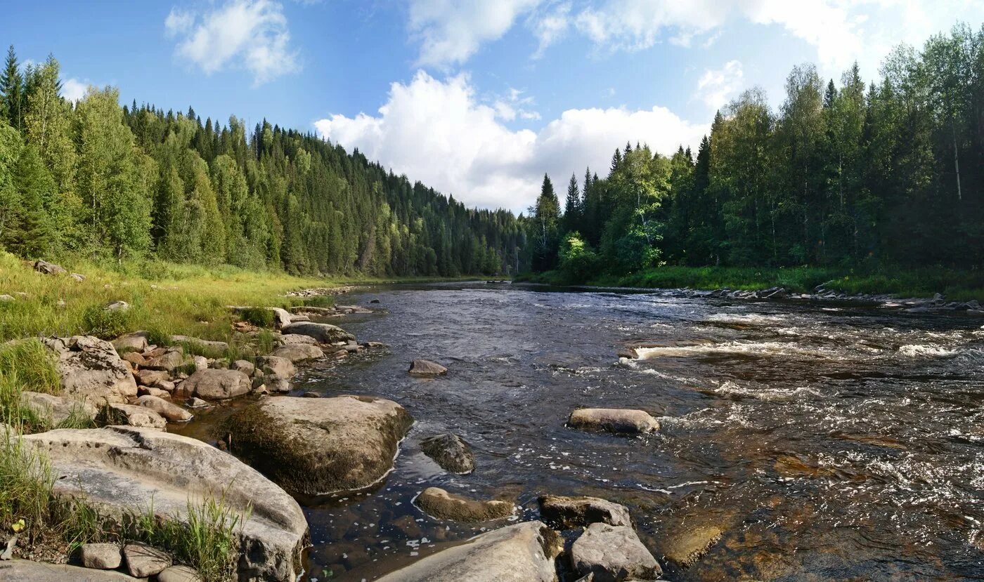 Река Косьва Пермский край сплав. Лес Тайга река Вильва. Пермский край река Усьва Исток. Река Вильва Пермский край. Шагаем с приятелем по берегу койвы