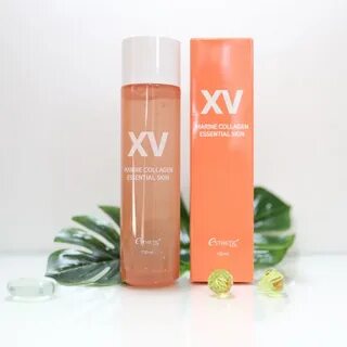 Marine collagen toner