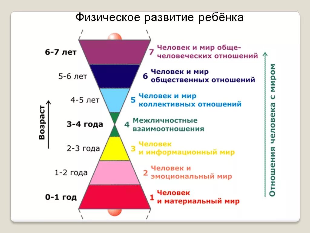 8 циклов жизни