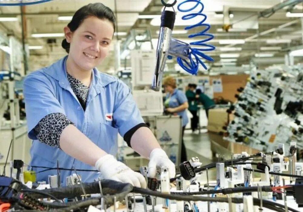 заводы и производства петербурга. территория кировский завод санкт-петербург. кириши нпз вид сверху. балтийский завод кировский завод. верфи санкт-петербурга адмиралтейские завод санкт-петербург.