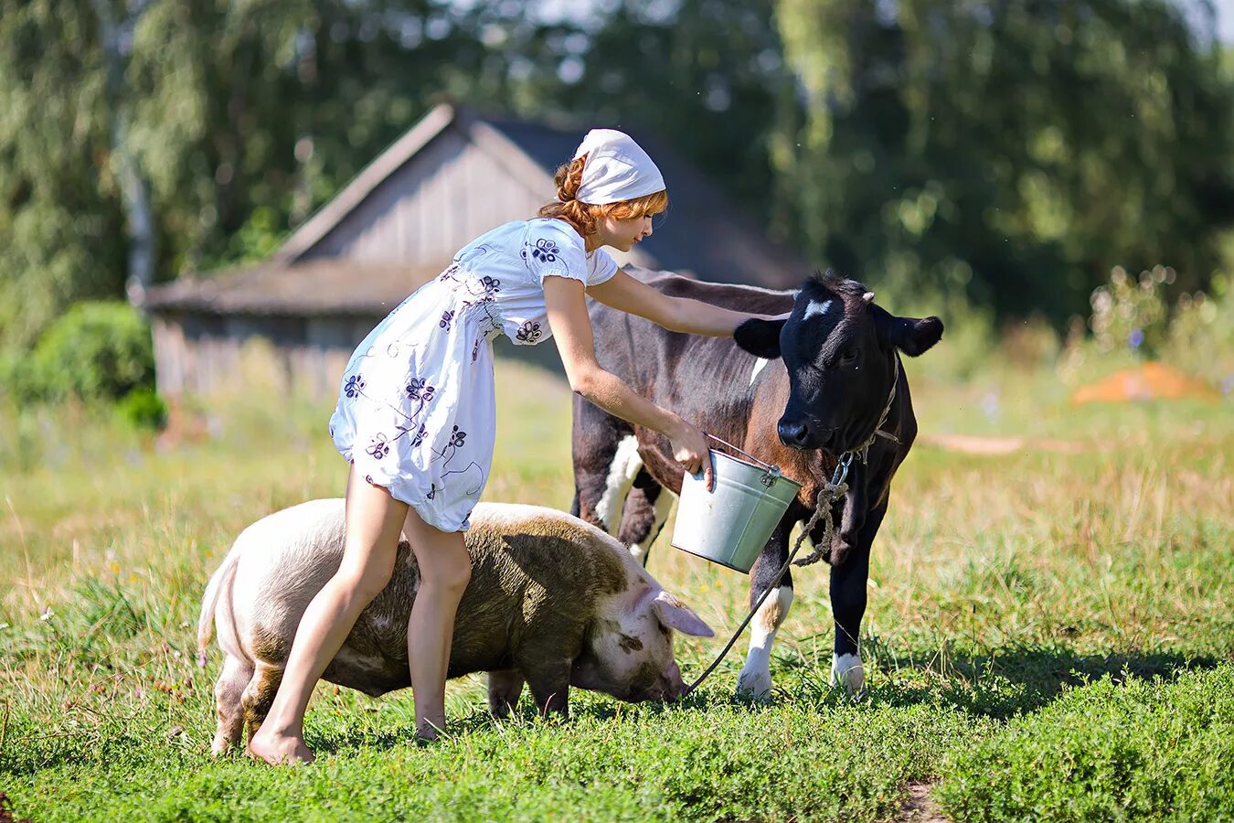 Village работа. Сельский туризм. Хозяйство в деревне. Сельский туризм агротуризм. Сельское хозяйство в деревне.