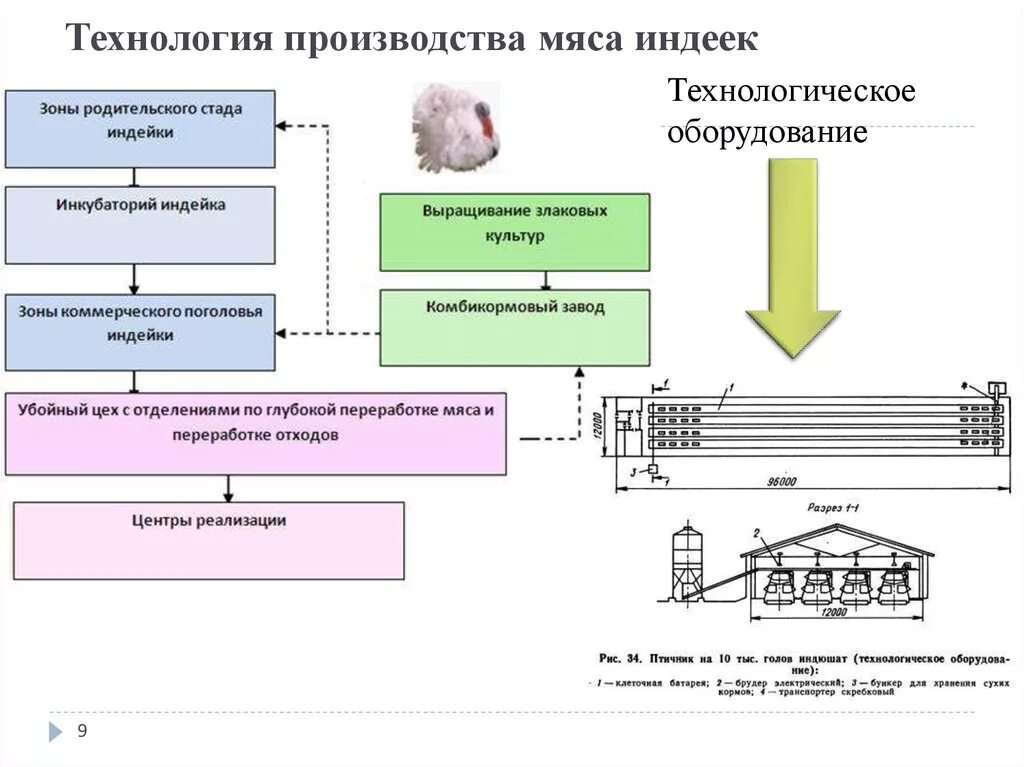 Технологические процессы содержания животных. Технологическая схема производства мяса индеек. Схема технологического процесса производства мяса индеек?. Схема технологического процесса производства мяса цыплят-бройлеров. Технологическая схема производства птичьего мяса.