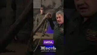 Жесть доброй воли видео