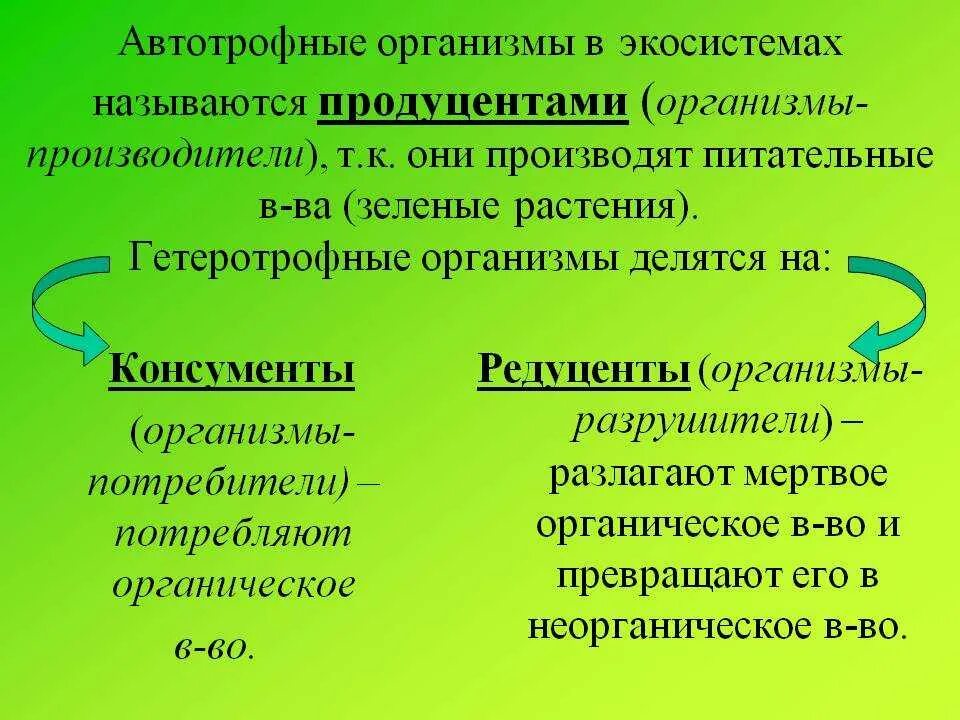 Группа автотрофных организмов. Автотрофные и гетеротрофные организмы. Гетеротрофные организмы в экосистеме это. Пфтотрофные опгантщсы. Авто рофные организмыы.