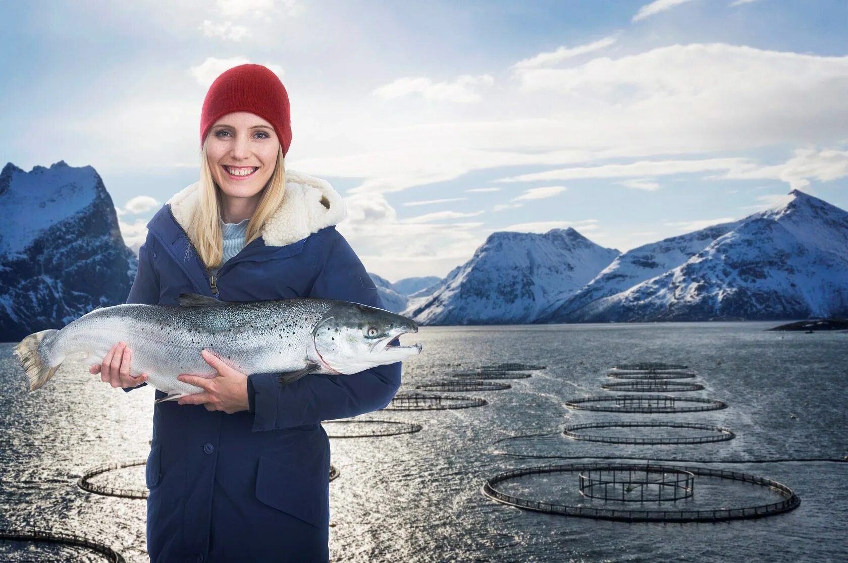 Онега норвежский прогноз. Семга Норвегия. Семга Norge. Рыбы норвежского моря. Семга из Норвегии.