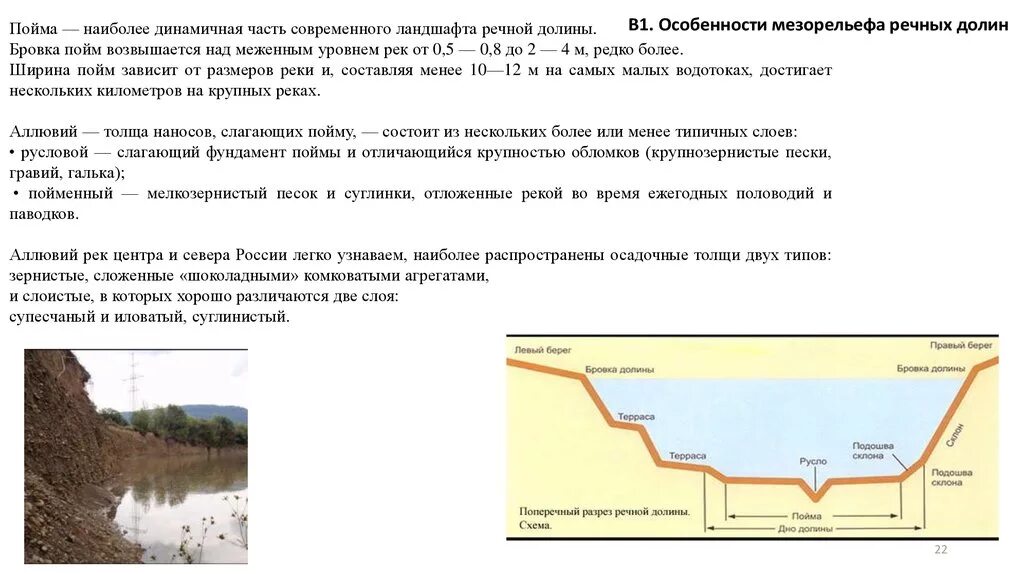 Пойма что это такое. Геологическое строение Речной Долины. Бровка Речной Долины. Долинно-Речной ландшафт. Строение Поймы.