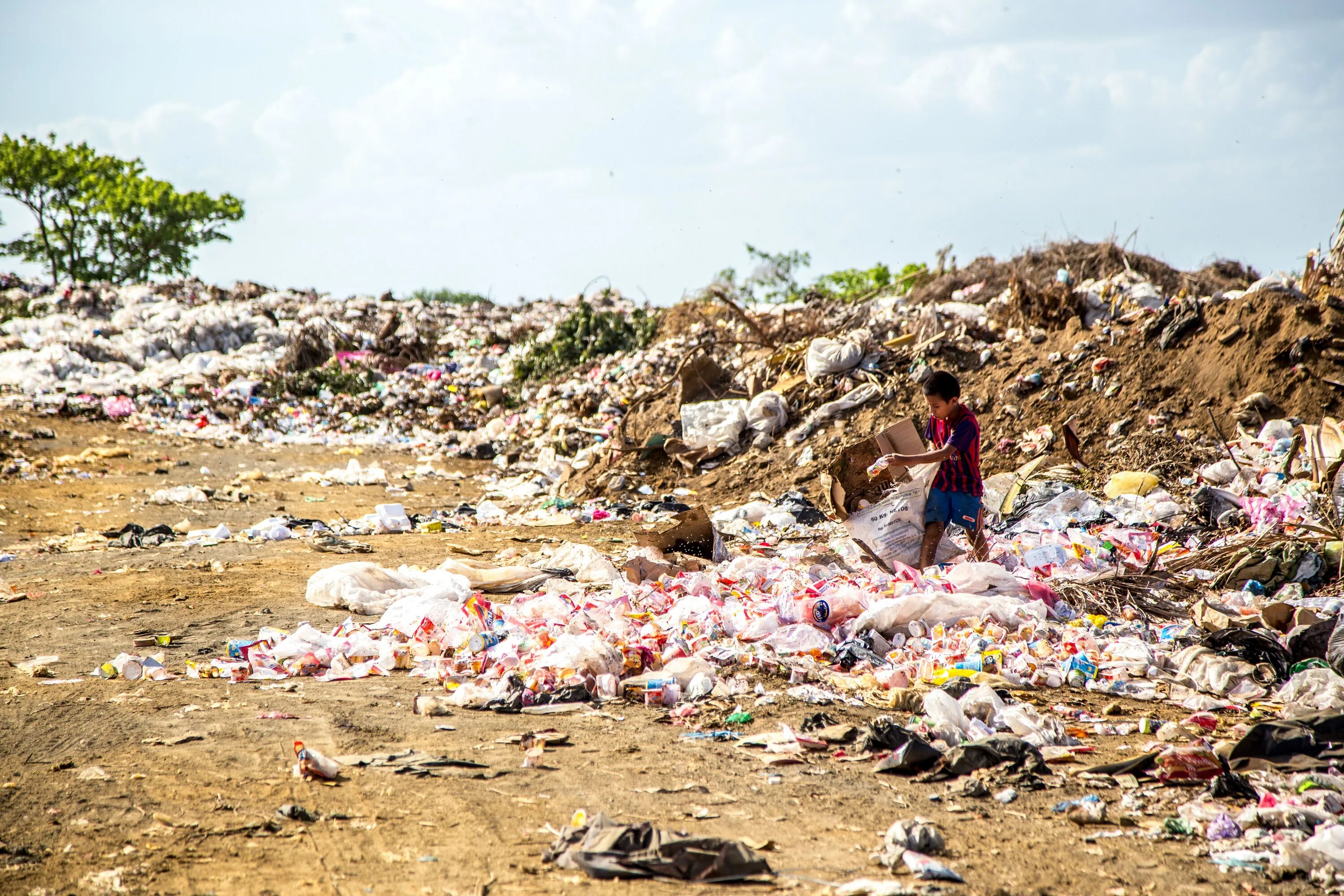 Garbage wastes
