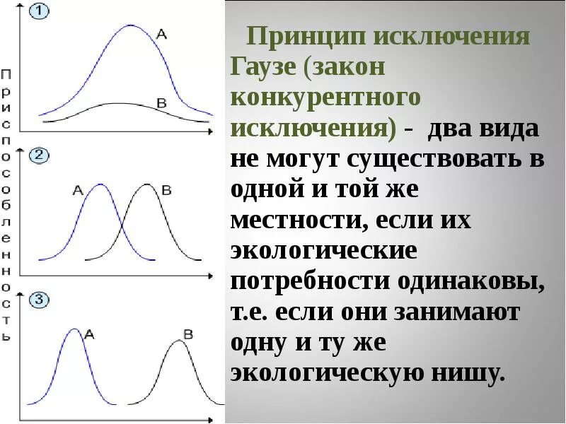 Принцип конкурентного исключения Гаузе. Закон Гаузе экология. Правило конкурентного исключения Гаузе. Закон конкурентного исключения Гаузе. Принцип конкурентного исключения