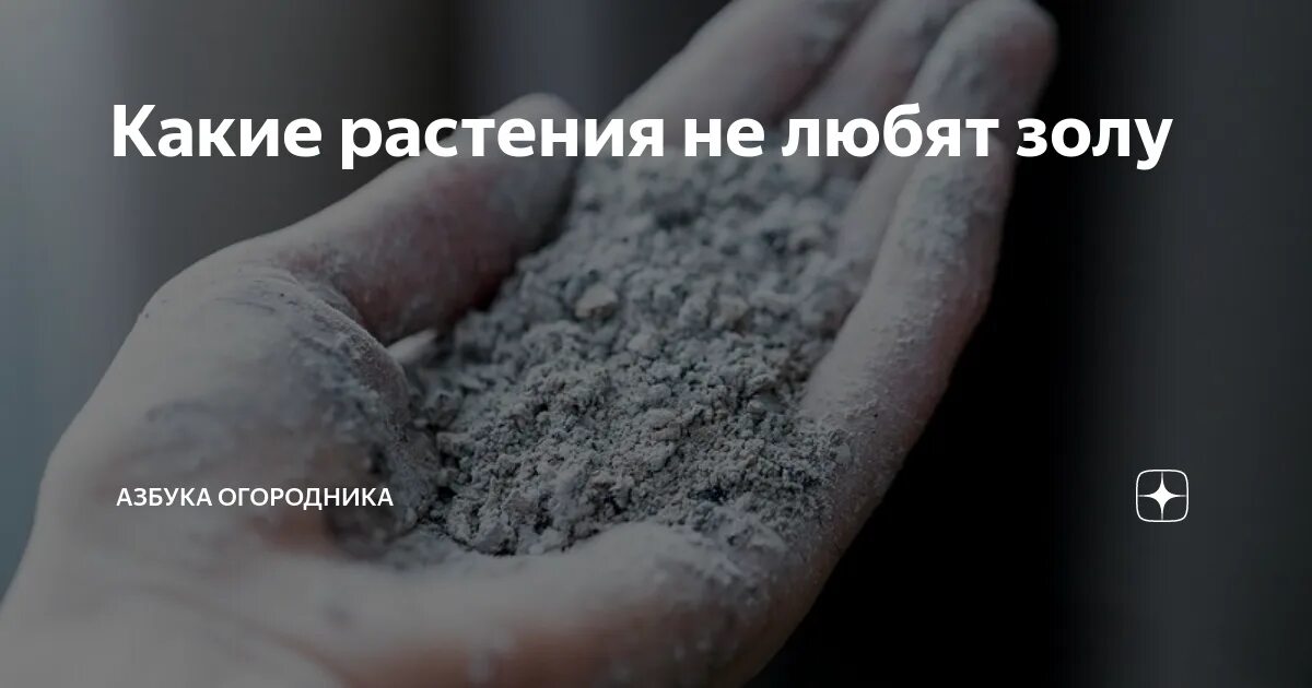 Растения любят золу. Какие овощи не любят золу. Какие растения не любят золу. Какие овощи любят золу.