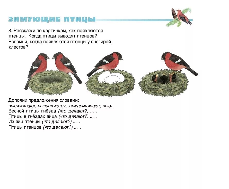 Перелётные птицы для дошкольников в гнезде. Гнезда перелетных птиц задания для детей. Задания для детей по теме птицы весной. Задания на тему зимующие птицы.