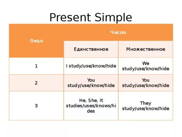 Форма глагола study в английском. Present simple множественное число существительных. Презент Симпл множественное число. Презент Симпл 3 лицо. Study present simple.