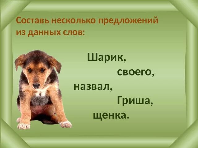 Форма слова шариков. Предложение про щенка. Предложение со словами шарик и шарик. Предложение со словом щенок. Предложение со словом собака шарик.