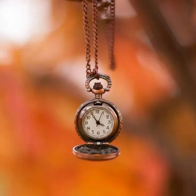 цените каждое мгновение жизни. цените время дни уходят. цветочные весенние часы. цените время дни уходят навсегда. цените время песня слушать.