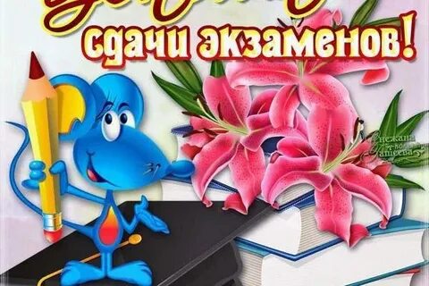 С успешной сдачей экзамена