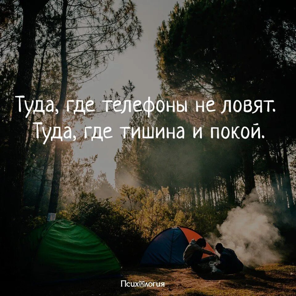 Не клюет. Тишина цитаты. Кот валяется. Почему джо неуловимый. Кот пришел.