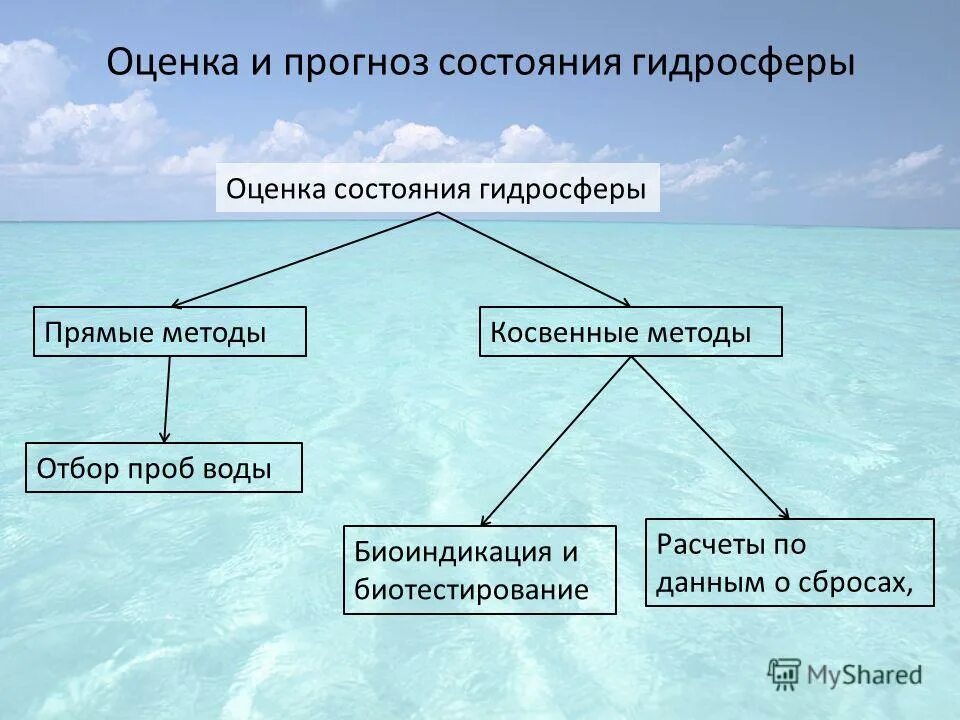 Мониторинг окружающей среды. Оценка и прогноз состояния окружающей среды. Мониторинг показателей состояния окружающей среды. Прогноз и оценка состояния окружающей среды. Прогноз и оценка состояния окружающей среды.