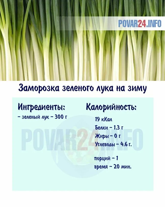 Зелёный лук ккал. Лук зеленый калорийность. Лук зеленый калории. Лук зеленый калорийность на 100 грамм