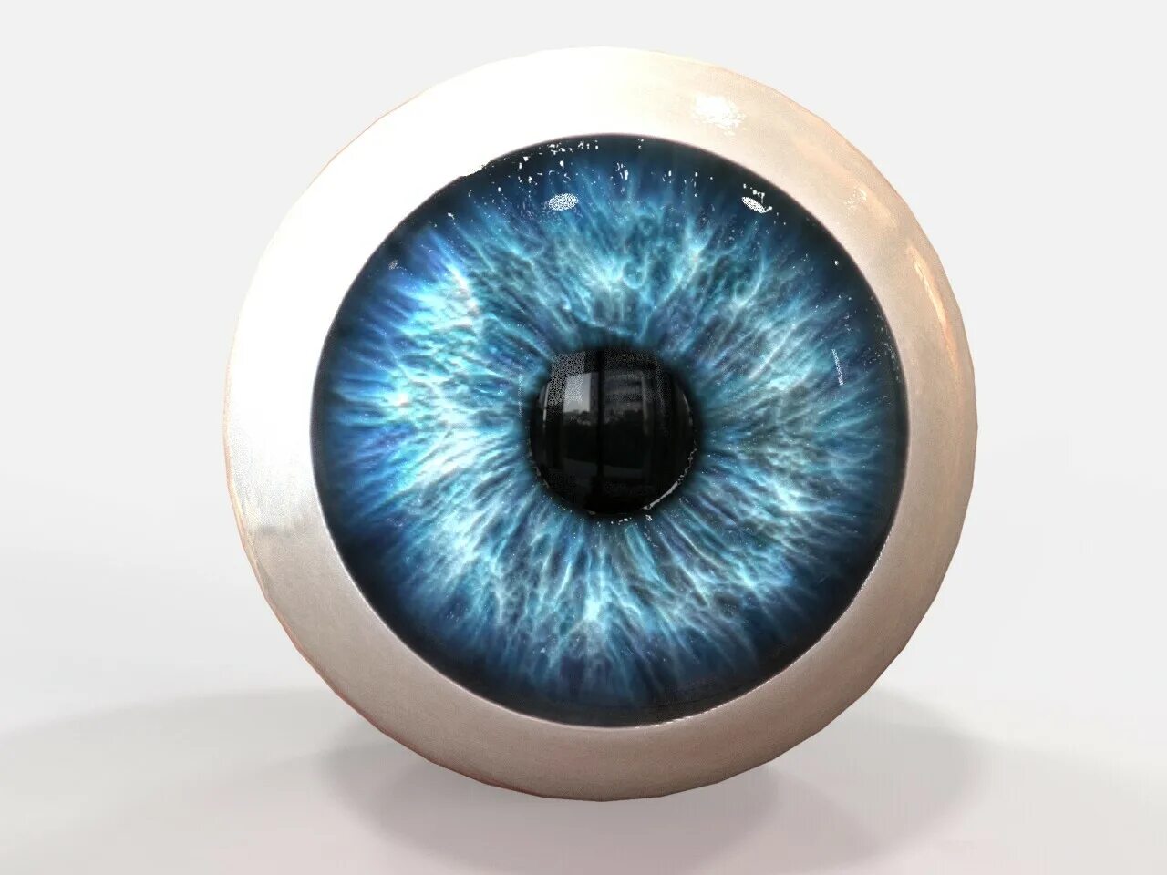 Модель глаза. Глаз 3d. Глаз 3д модель. Глаз муляж человеческий.
