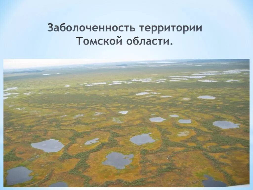 Водные богатства томской области. Заболоченность территории. Томская область презентация. Большая заболоченность равнины. Поверхность Томской области 4 класс.