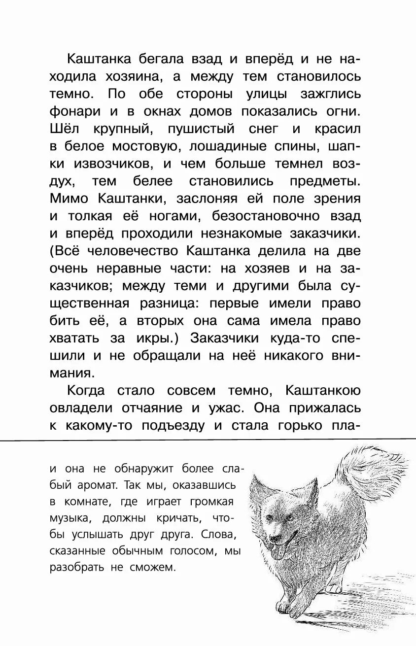 Каштанка бегала взад. Каштанка. Каштанка текст. Каштанка вопросы по тексту. Аннотация Чехов каштанка.