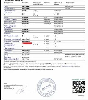 Neg в анализе мочи у взрослого