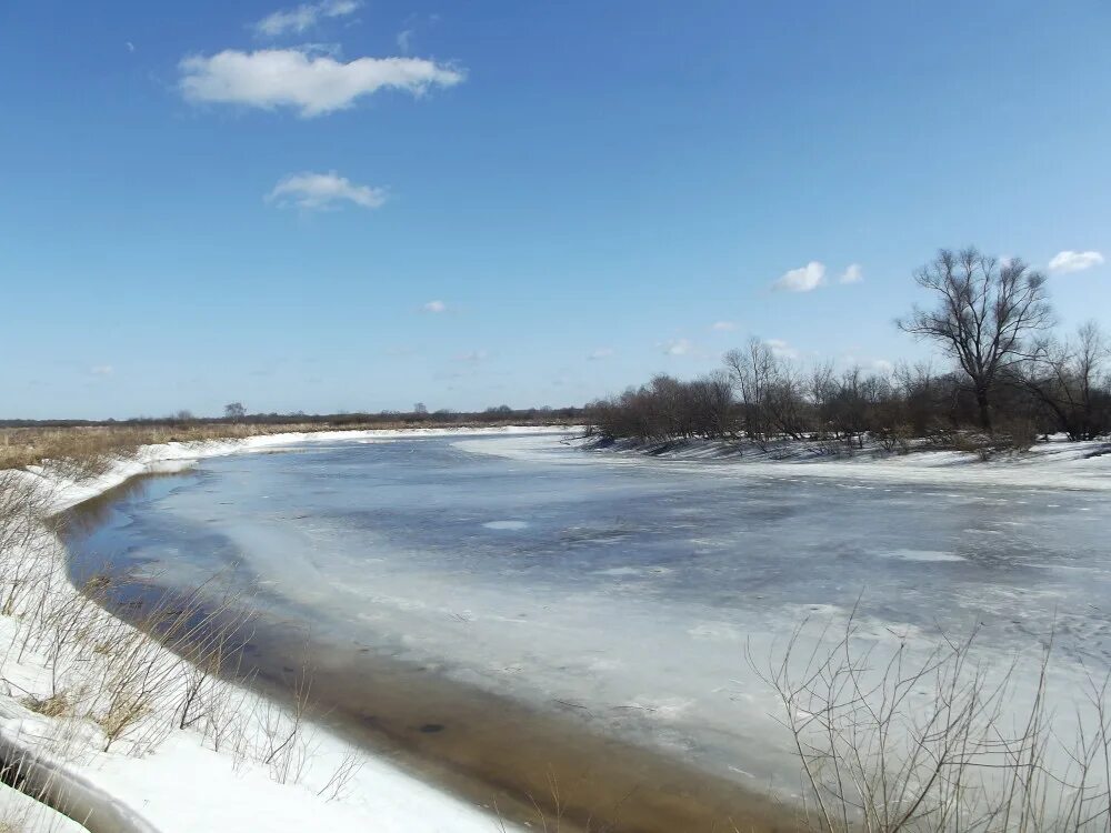 Уровень воды в клязьме город ковров. Река Клязьма Петушки. Город Петушки река Клязьма. Клязьма в Покрове. Река Клязьма Покров.