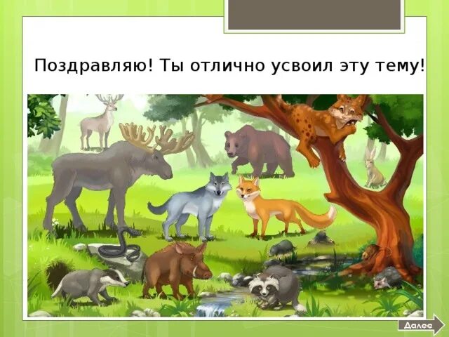 Разнообразие природы родного края красноярский край