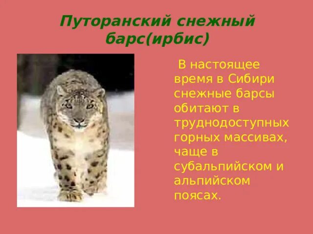 Презентация "Красная книга" (2 класс) по окружающему миру - скачать проект
