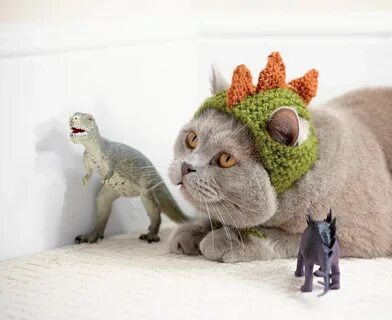 Костюм дракона для кота