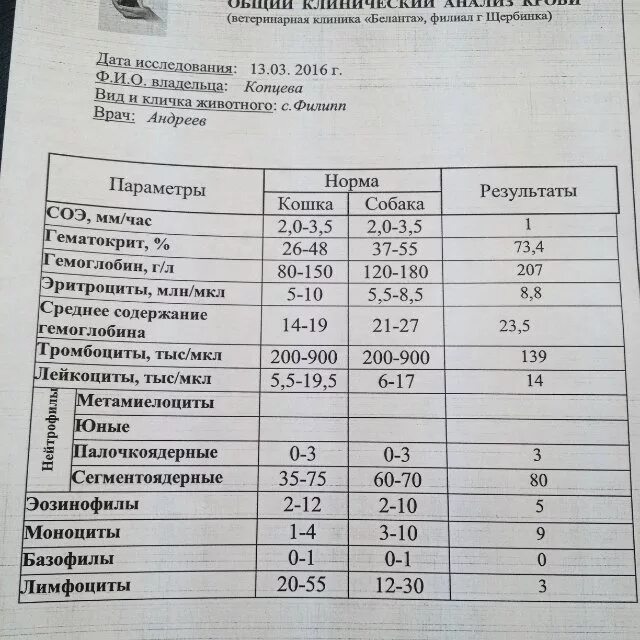 Норма пса у мужчин в процентах. Пса общий анализ для мужчин норма по возрасту таблица. Анализ крови на пса норма по возрасту таблица у мужчин. Пса общий и Свободный анализ для мужчин норма по возрасту. Анализы пса норма у мужчин по возрасту таблица.