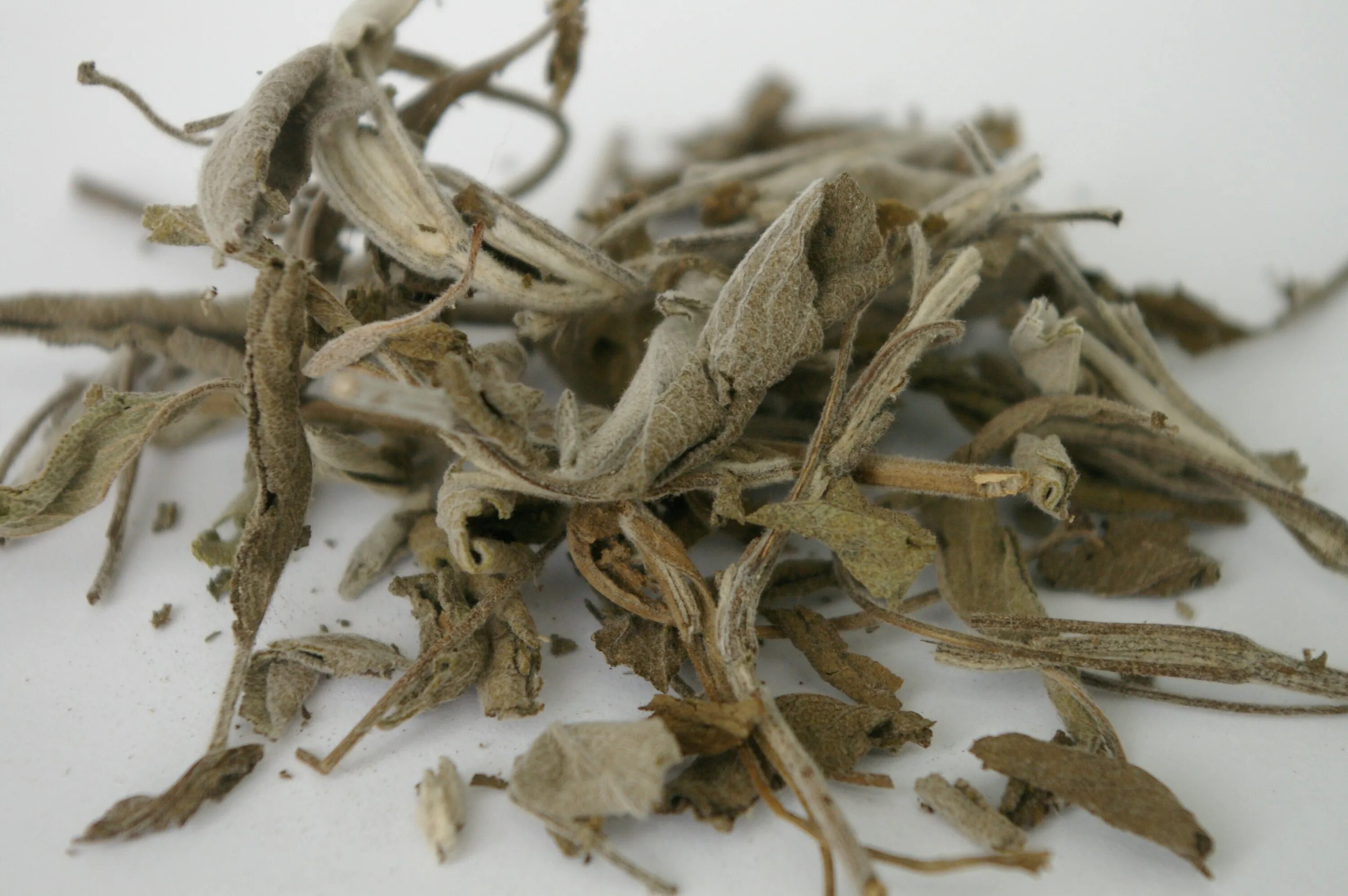 Salvia extract