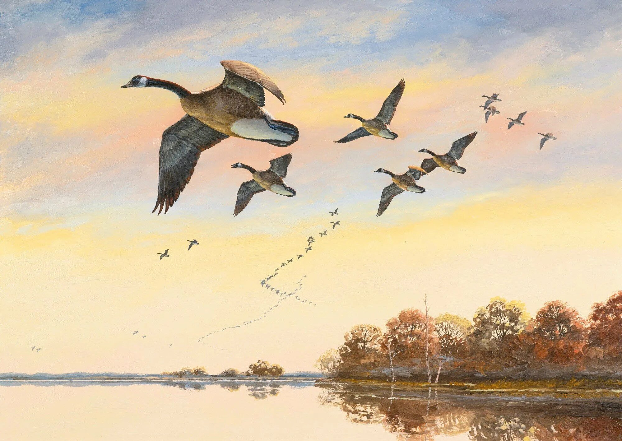 Улетают птицами года. Перелётные птицы ултают на Юг. Картины художников журавлиный Клин. Осенью перелетные птицы улетают на Юг. David Maass картины.