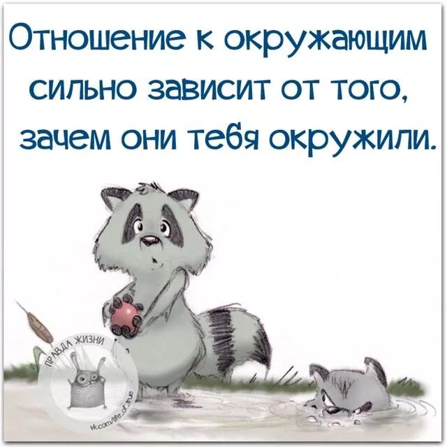 Когда окружающие сильно окружают. Высказывания смешные и прикольные. Юмористические высказывания в картинках. Смешные высказывания в картинках. Смешные цитаты в картинках.