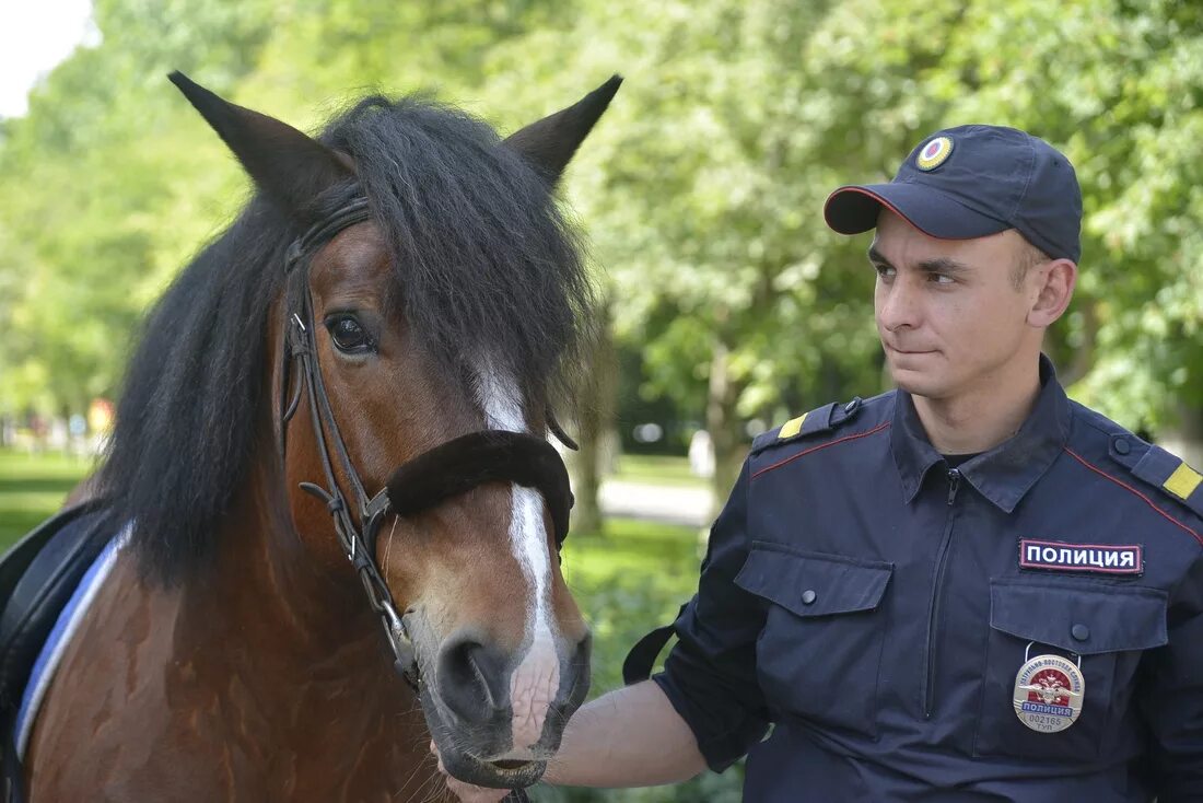 Фото полицейского. Конная полиция России. Полиция на конях. Полицейская лошадь. Лошади в конной полиции.