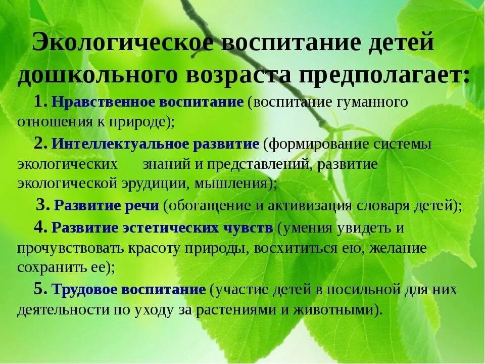 Воспитание дошкольников в процессе обучения. Экологическое воспитание дошкольников. экологическое воспитание детей дошкольного возраста. экологическое воспитание дошкольников д. этапы экологического воспитания дошкольников.