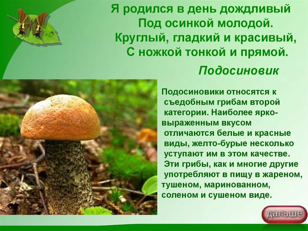 Подосиновик относится к грибам. Подосиновик к каким грибам относится. К съедобным грибам относятся. К какой группе относится гриб подосиновик.