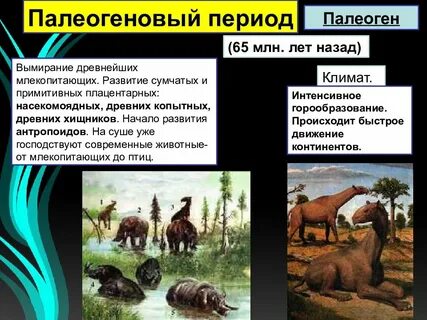 В какую эру возникли млекопитающие