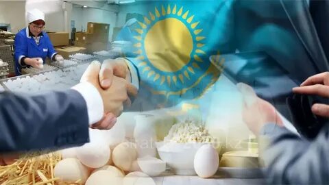 Мемлекеттік сатып алу туралы заң