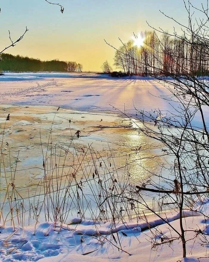 Март природа. Красивые пейзажи ранней весны. Полный месяц март