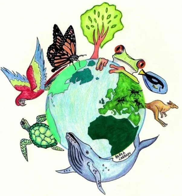 Нарисовать рисунок человек часть биосферы. Детям об экологии. Экология земли. Экологический рисунок. Рисунок на тему экология.