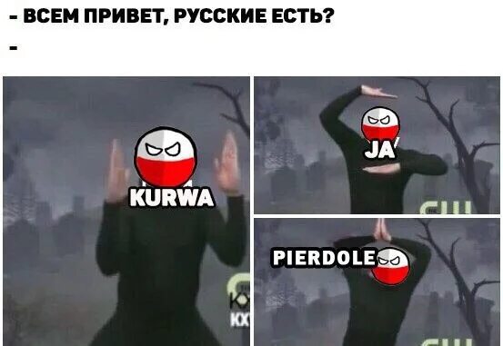 Поляки мемы. Мем про Поляков kurwa. Говорит по польски Мем. Привет на русском. Что значит я пердоле с польского