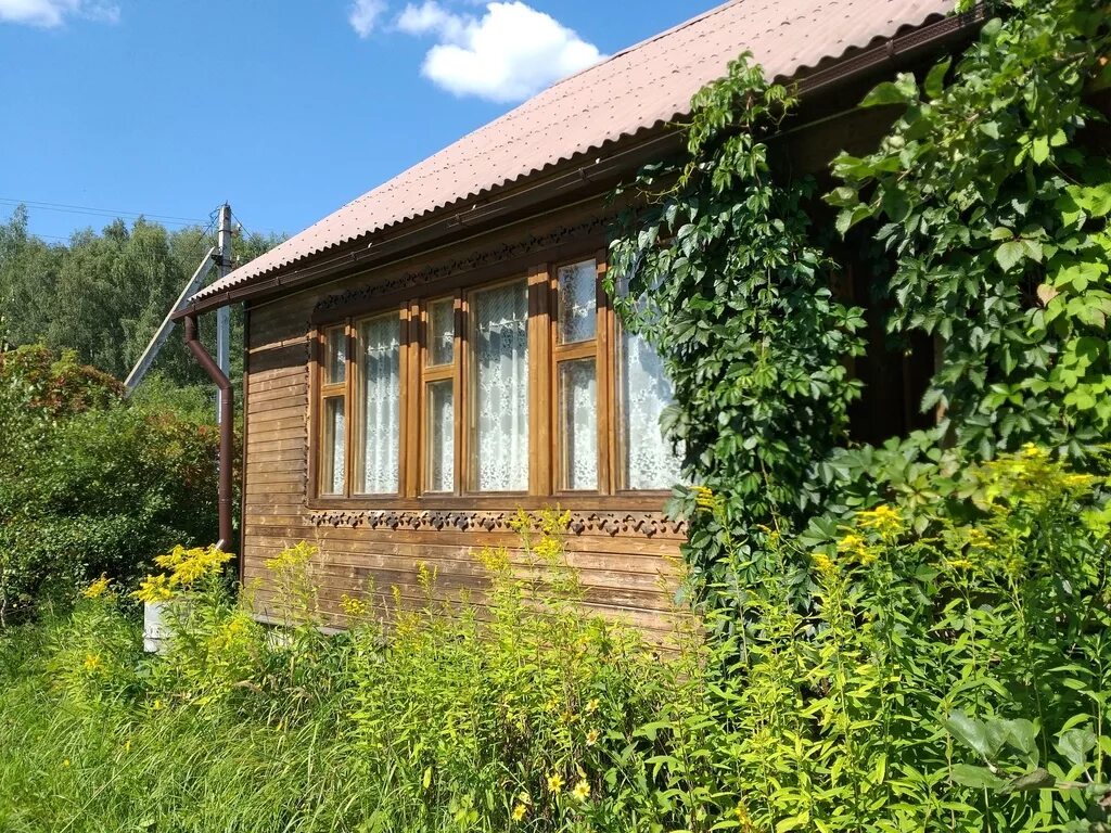 Деревня Скурыгино Чеховский район. Деревня Скурыгино Чехов Чехов Московская область. Деревенский дом с участком. Деревенский дом в Московской области. Авито дом в деревне московская область