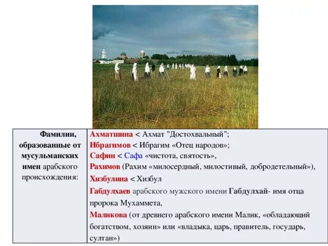 Паспорт на имя сергей. Рустам фаилович ибрагимов. Паспортные данные место рождения. Хадис ибрагимов боец ufc. Рустам ибрагимов 1999.