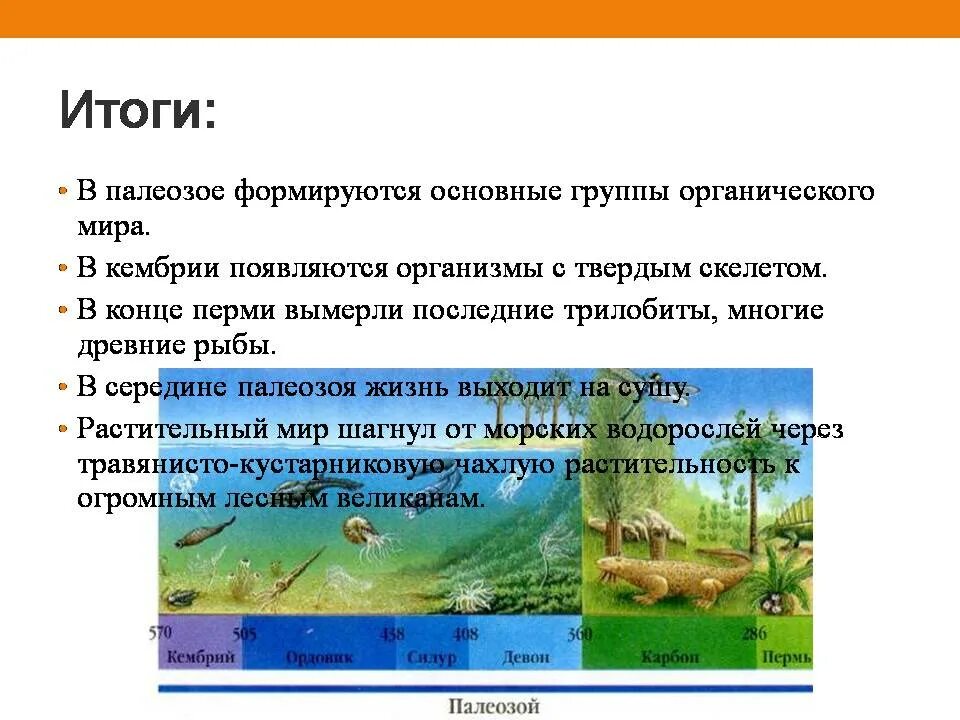 Палеозойская эра биология 9 класс. Палеозойская эратема. Общая характеристика палеозойской эры. Основные периоды палеозойской эры.