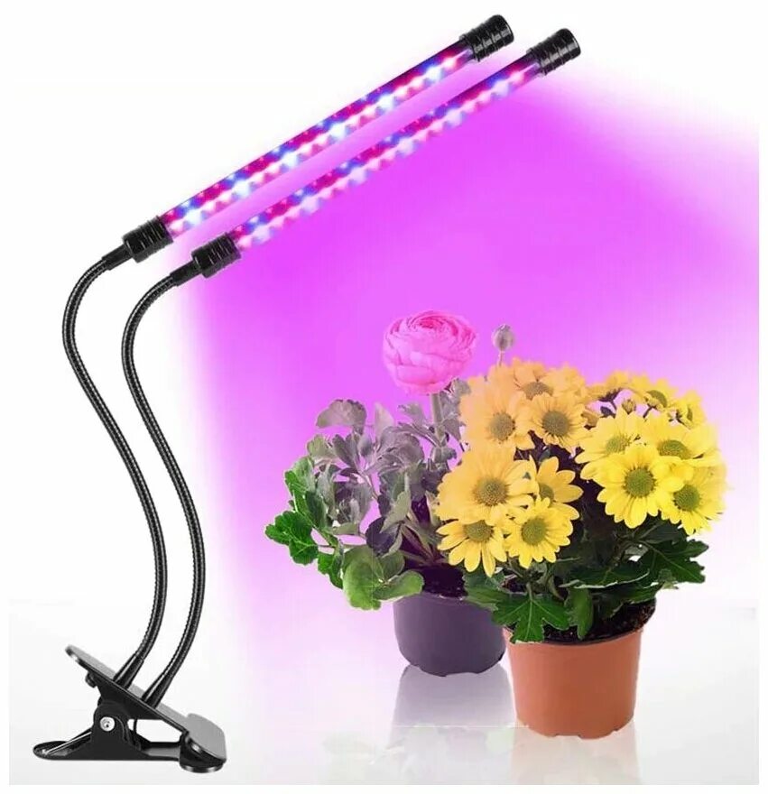 Mr16 цоколь. Спот maple lamp ts 125. Светильник vega de 201 wh. Flora lamp е14. Maple lamp.