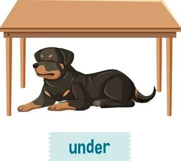 The dog is behind the table